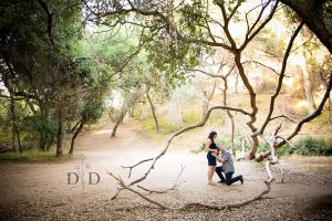 Read more about the article {H} Los Angeles Maternity Photography in San Dimas & Covina