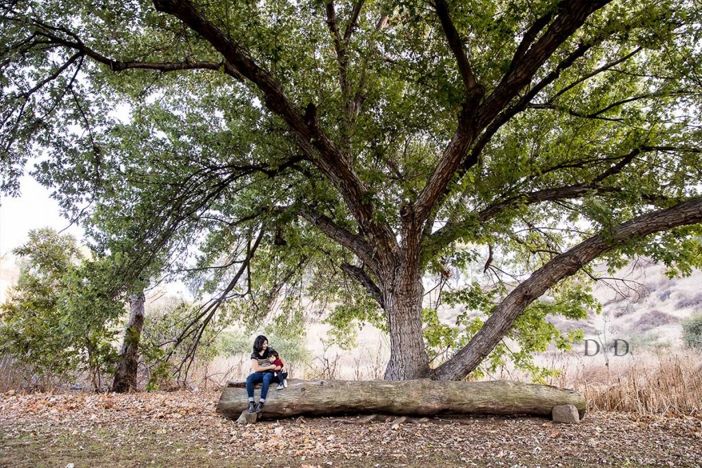 San Dimas Family Photo Large Tree and Log