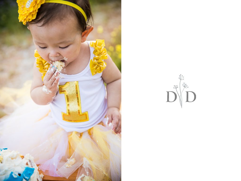 1yo Birthday Photos