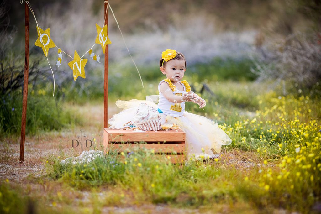 Cake Smash Photos in Desert