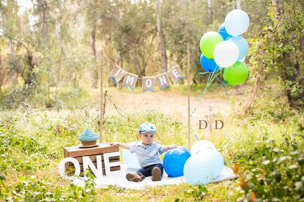 First Birthday Photos Setup