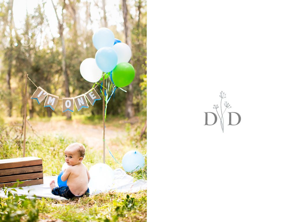 First Birthday Photos Setup