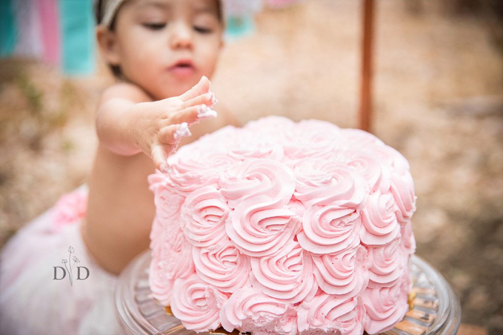 Pink Cake Smash, First Birthday