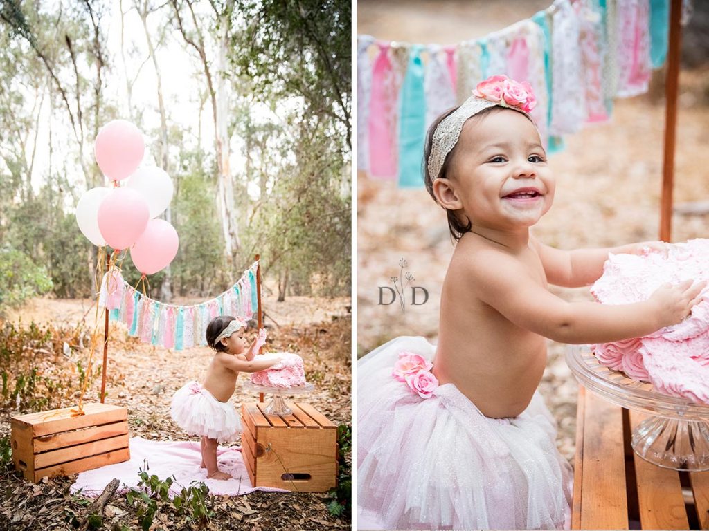 Cake Smash, First Birthday