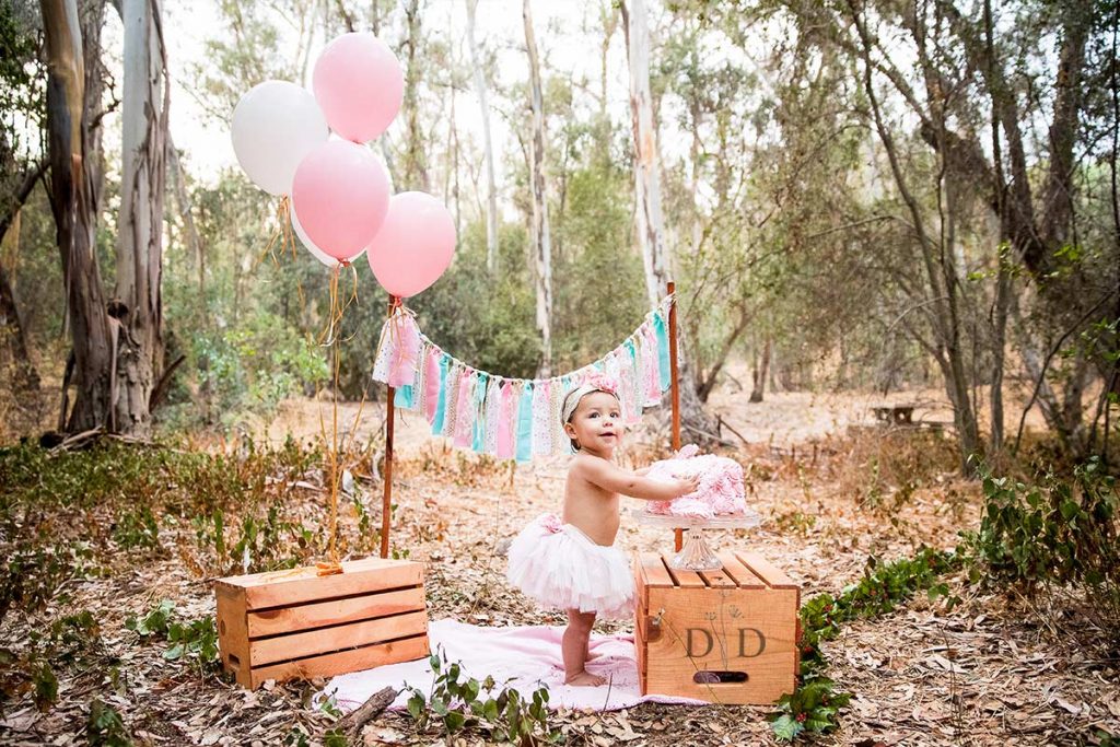 Cake Smash, First Birthday