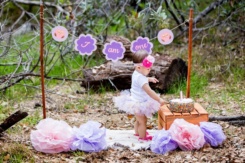 Baby Girl First Birthday Photos Cake Smash