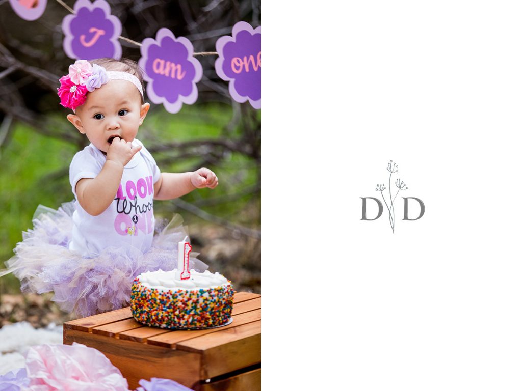 Cake Smash Photos