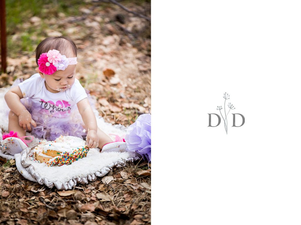 First Birthday Photography