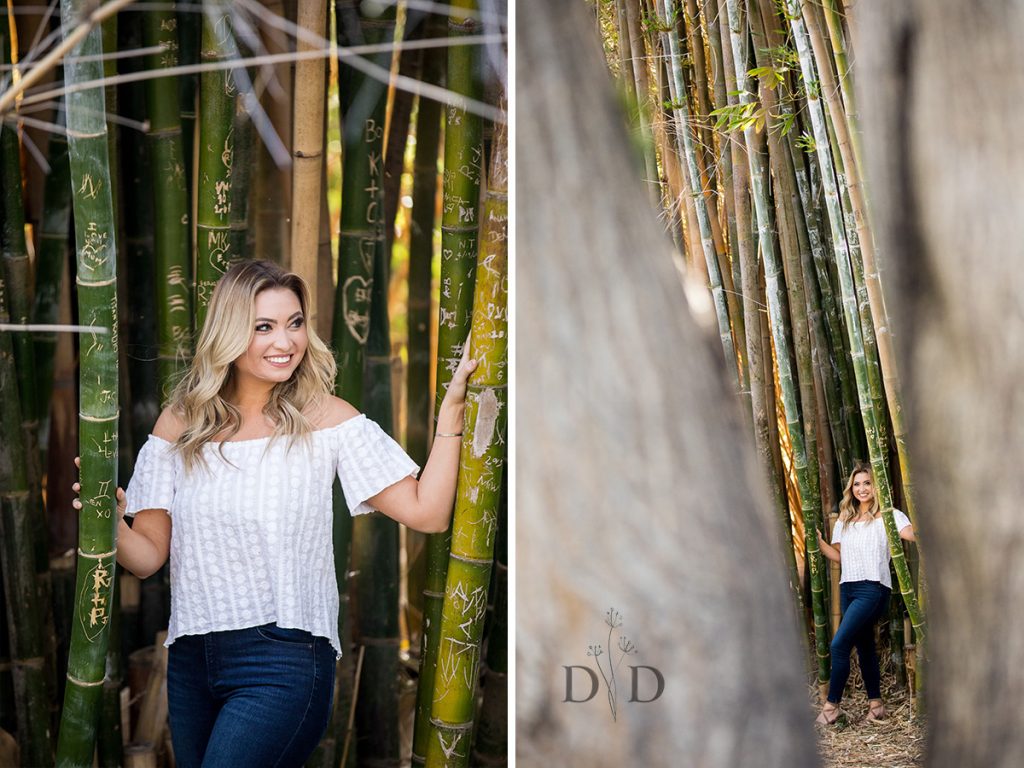 Portraits with a Bamboo Forest