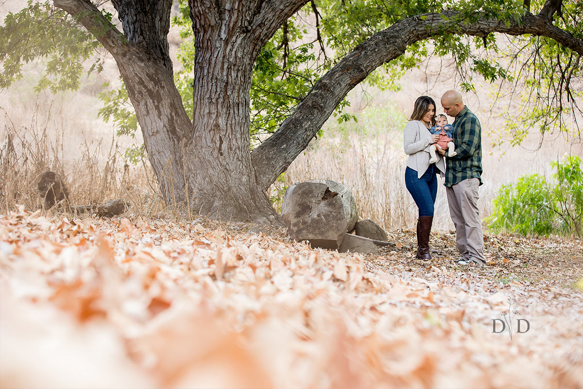 Bonelli Park Family Photography with Fall Leaves