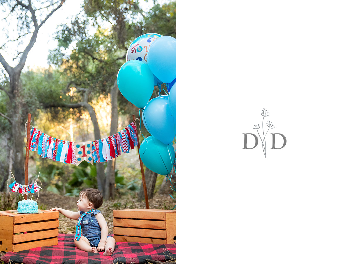 Cake Smash 1yo Photos