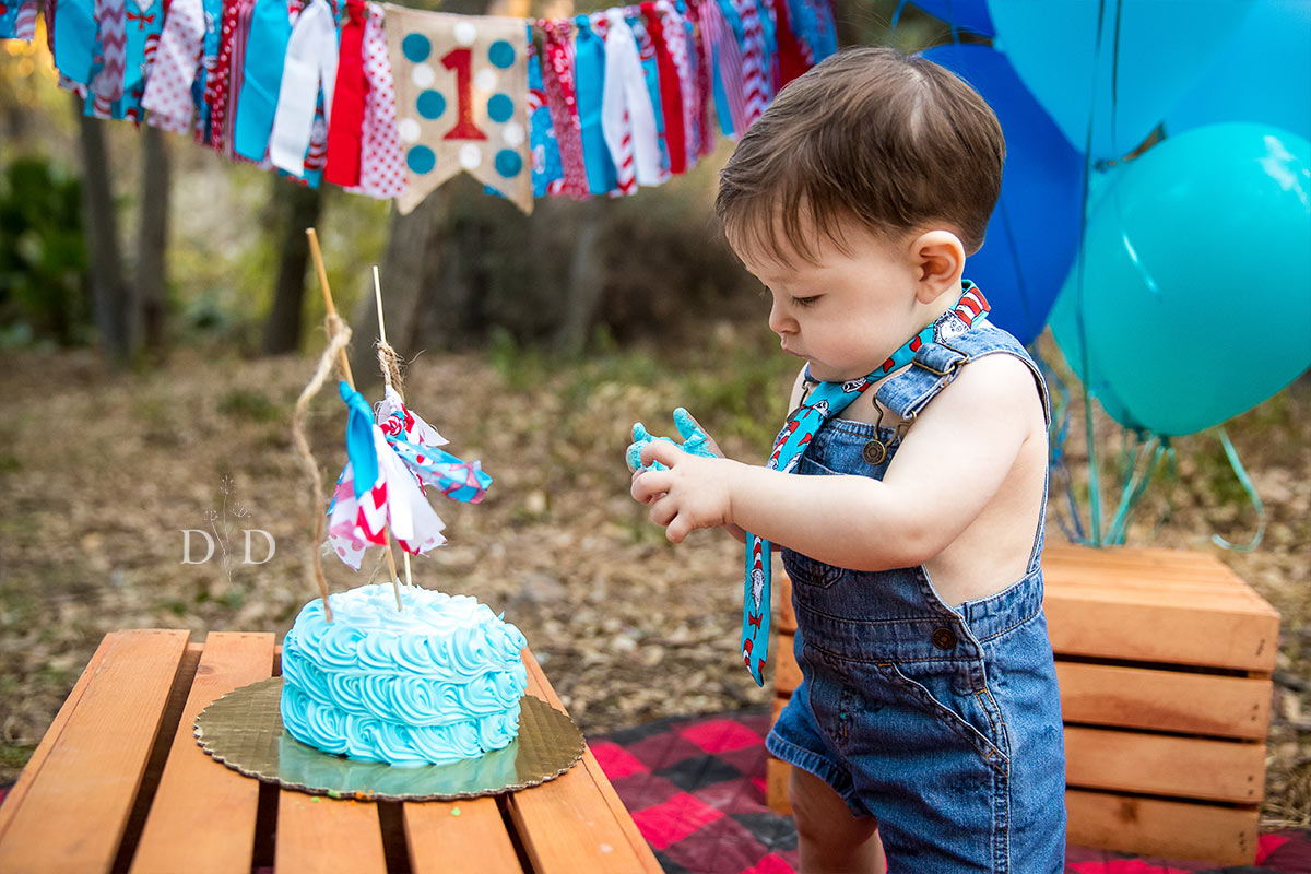 Cake Smash 1yo Photos