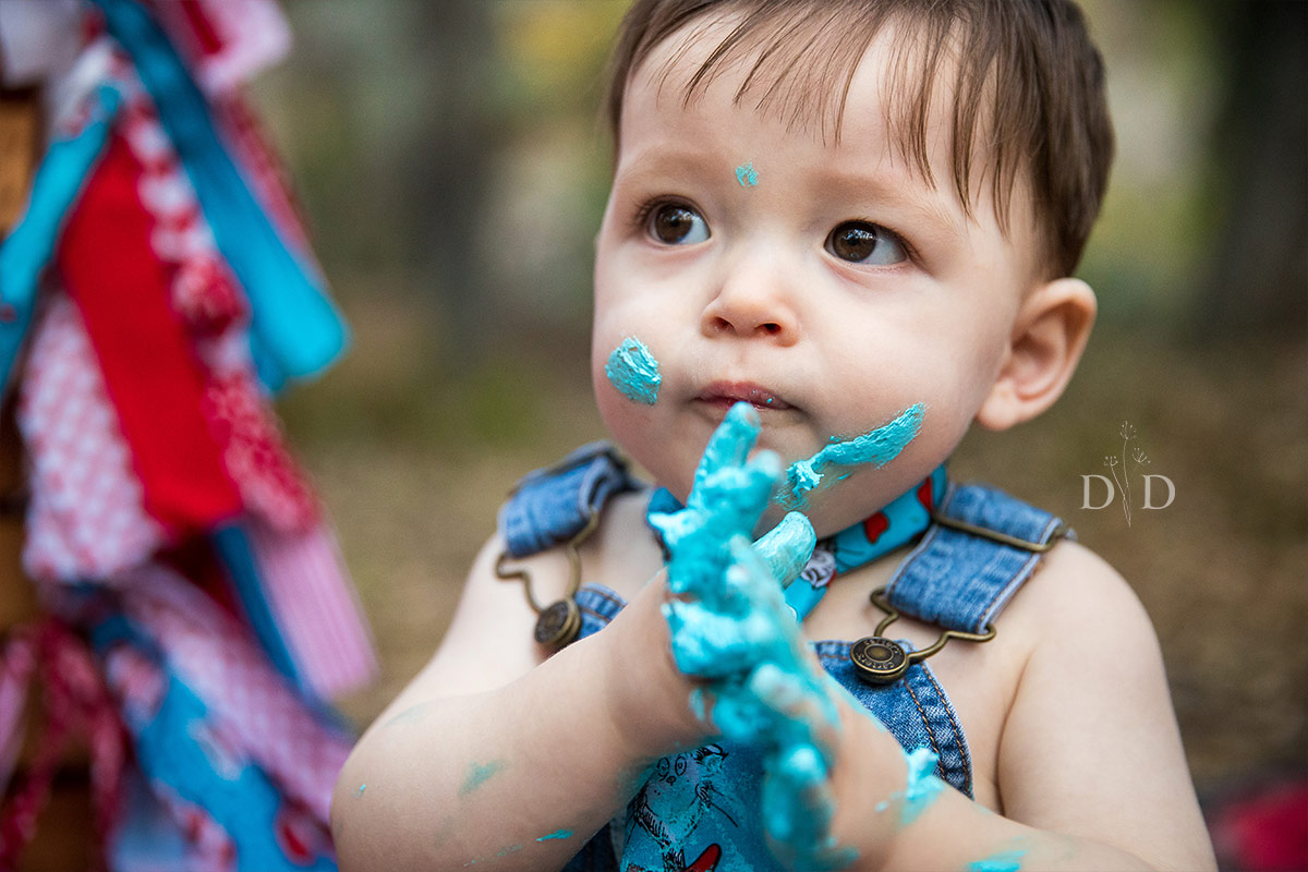 Cake Smash Photos with Blue Frosting