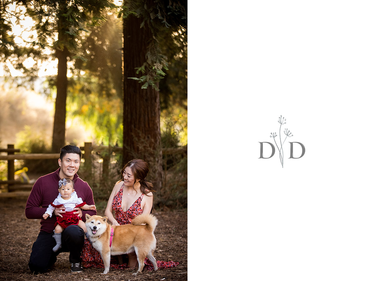 Family Photography with Redwood Trees