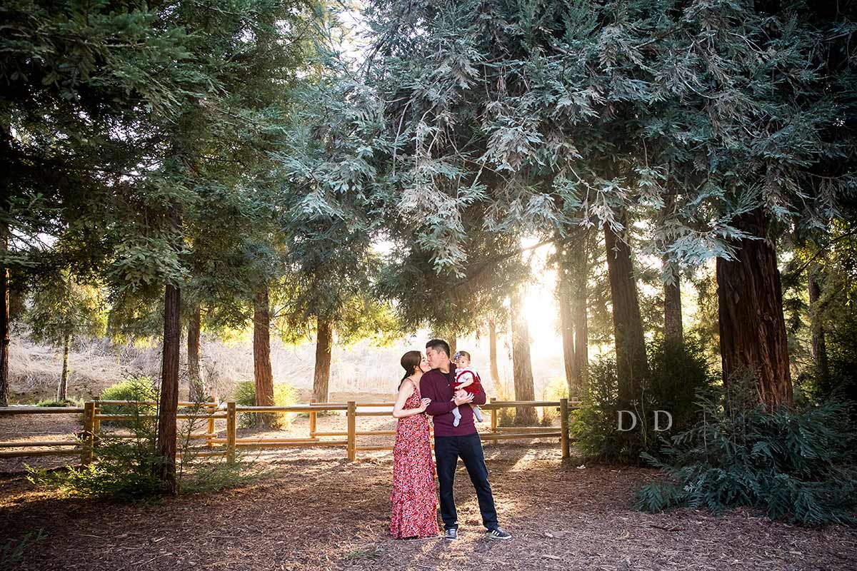 Family Photos with Redwood Trees