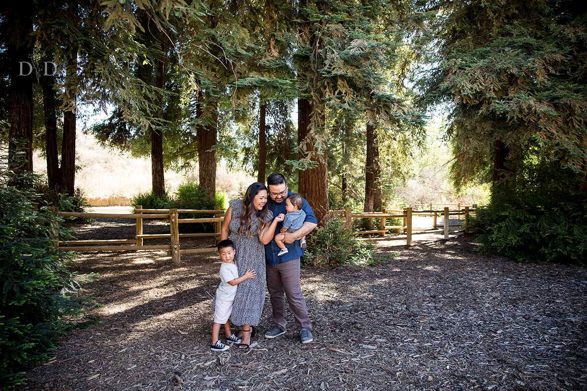 Family Photography in Redwood Forest