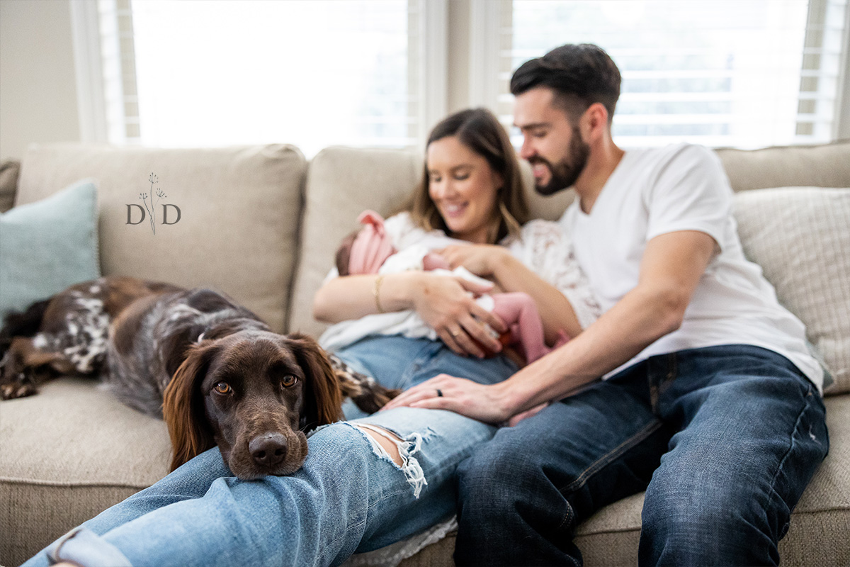 Lifestyle Family Photos on their Couch with Dog