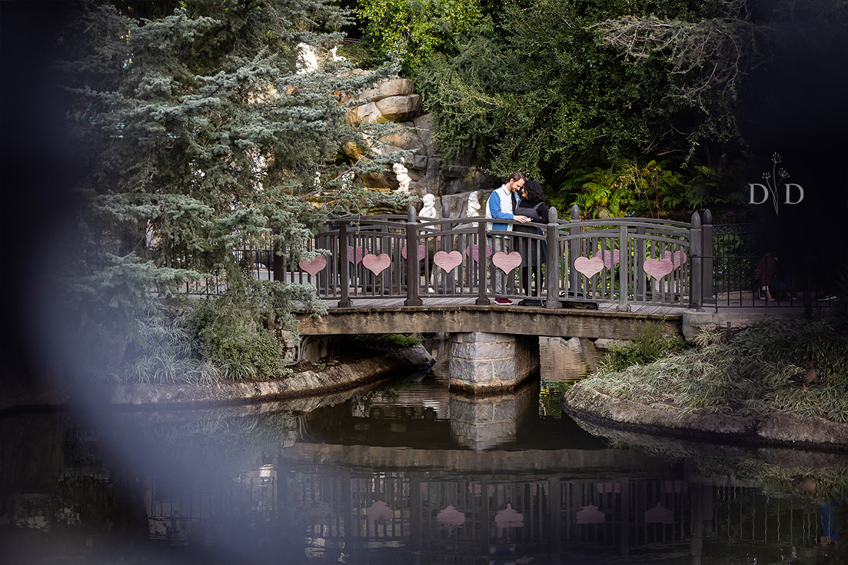 Snow White Bridge at Disneyland