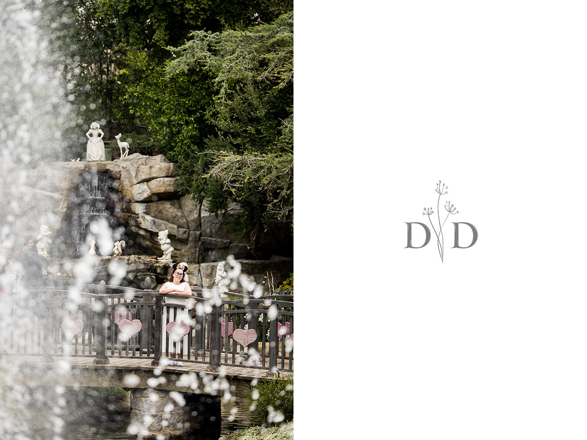 Fantasyland Fountain