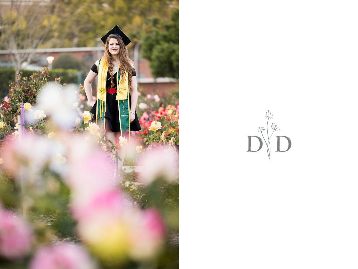 Grad Photo in Rose Garden