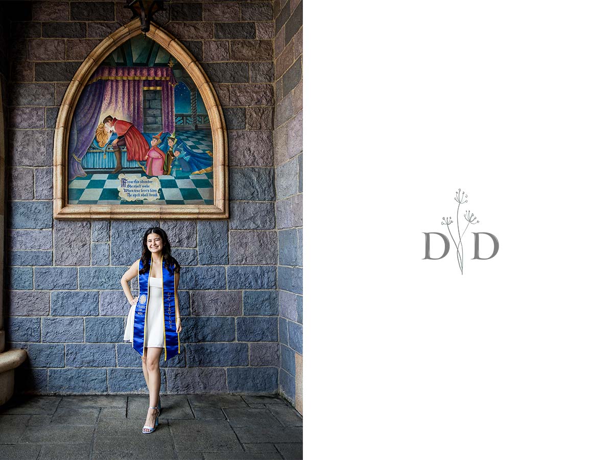 Sleeping Beauty Castle