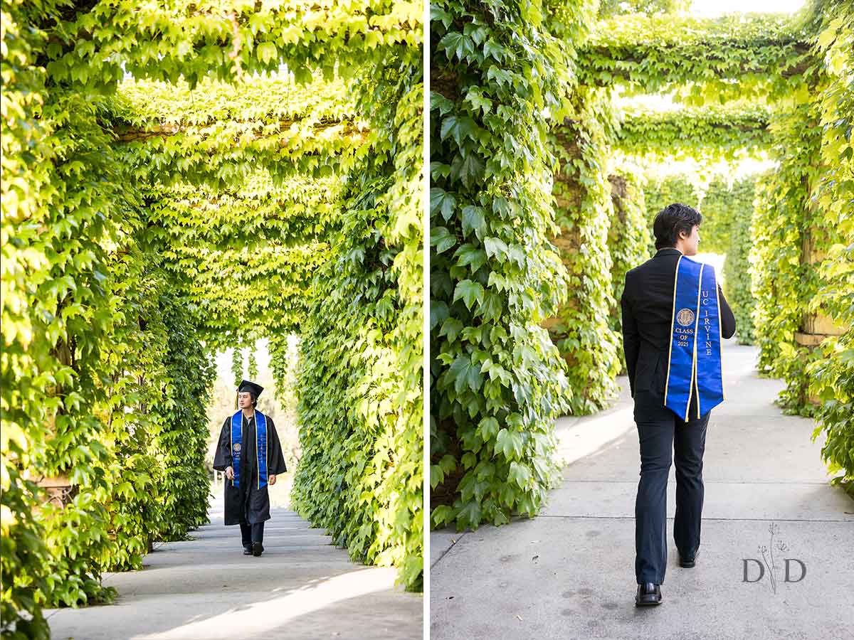 UCI Hedges
