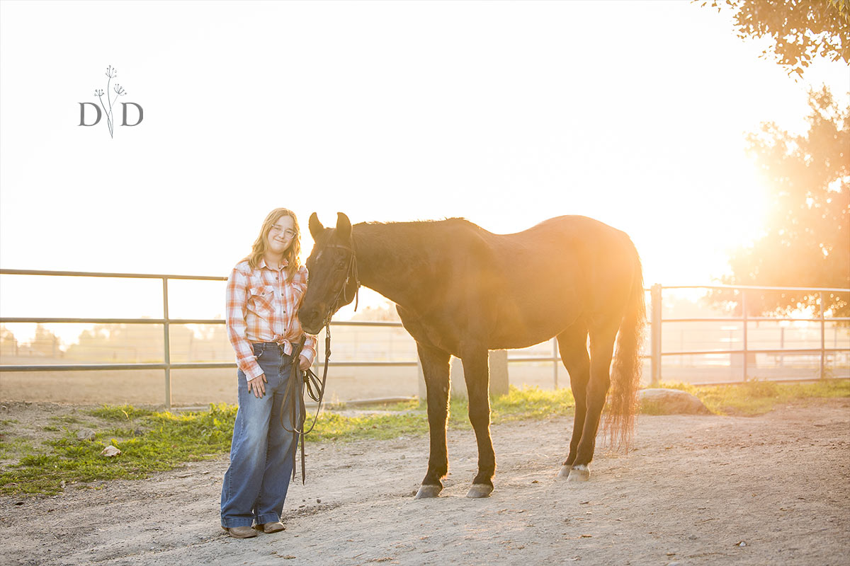 Horse Photos at Sunset