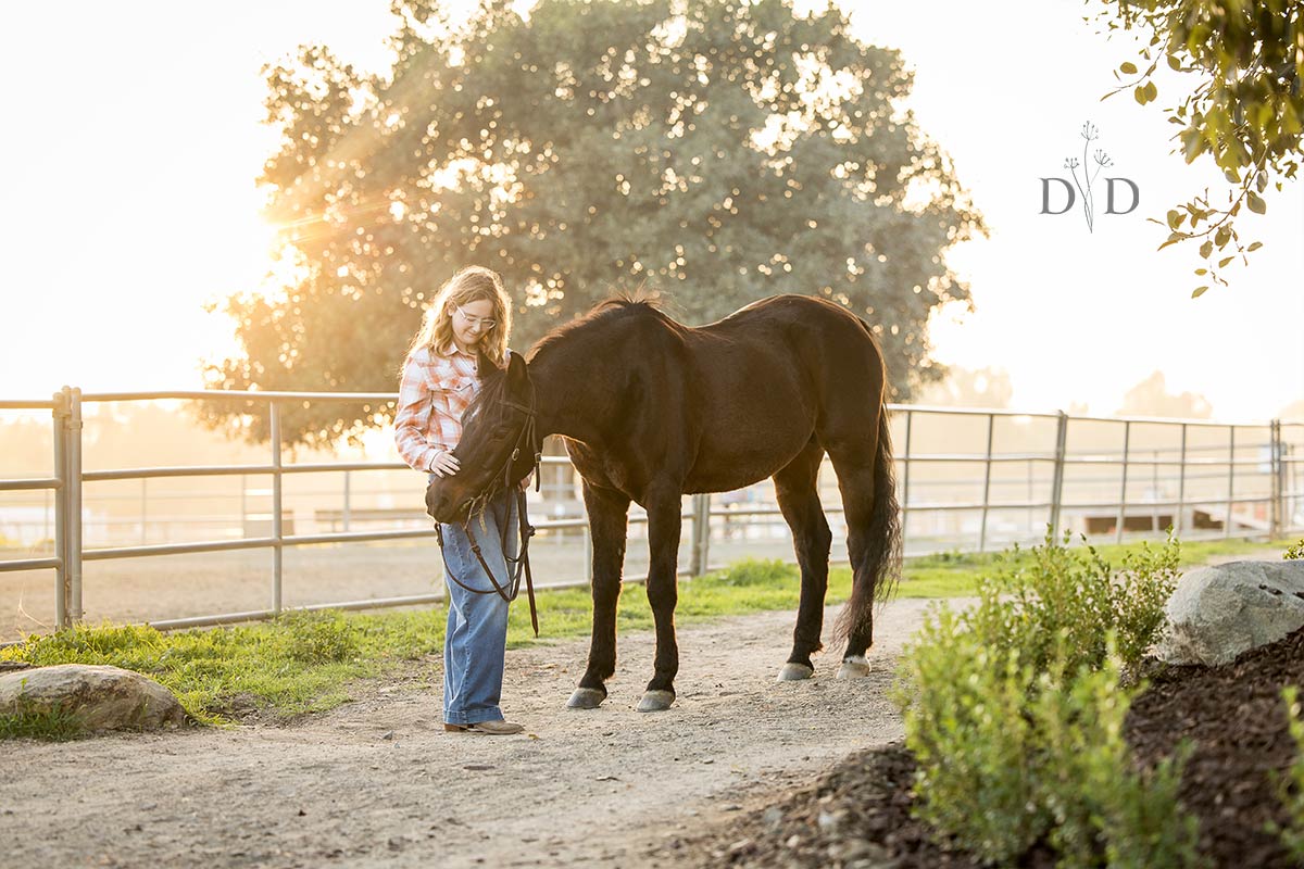 Horsethief Canyon Horse Photography