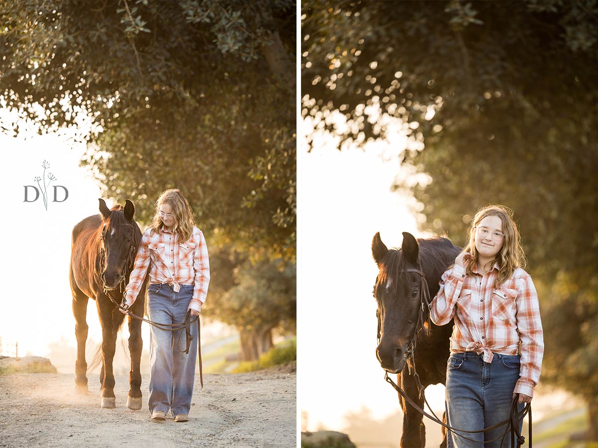 San Dimas Horse Portraits
