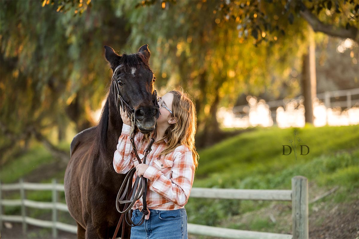 Equine Photography San Dimas