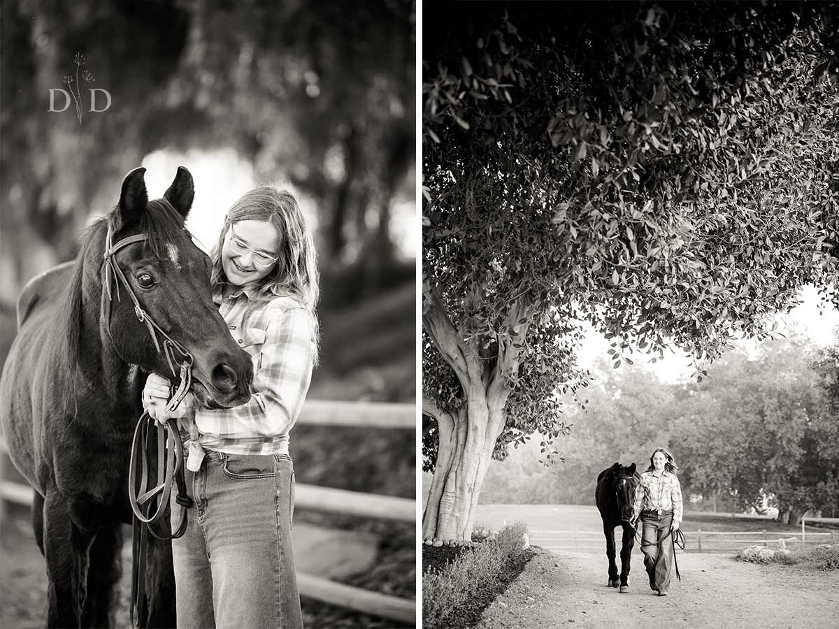Black and White Horse Photography