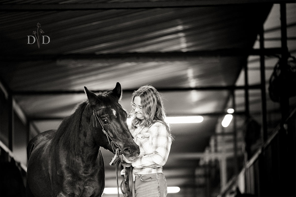 Black and White Equine Photo