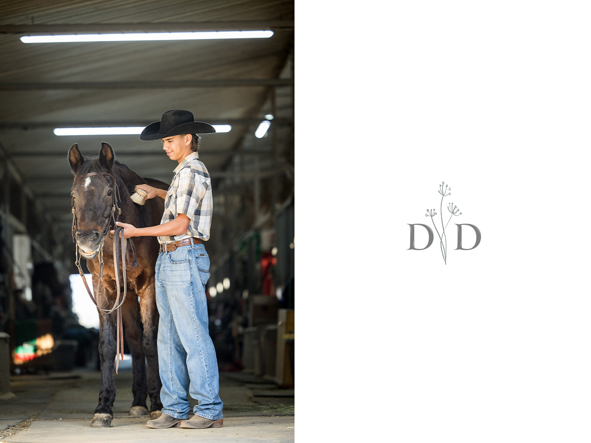 Grooming horse photos