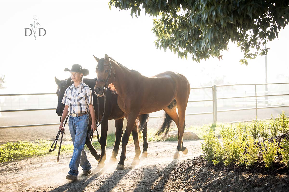 Equine Photography San Dimas