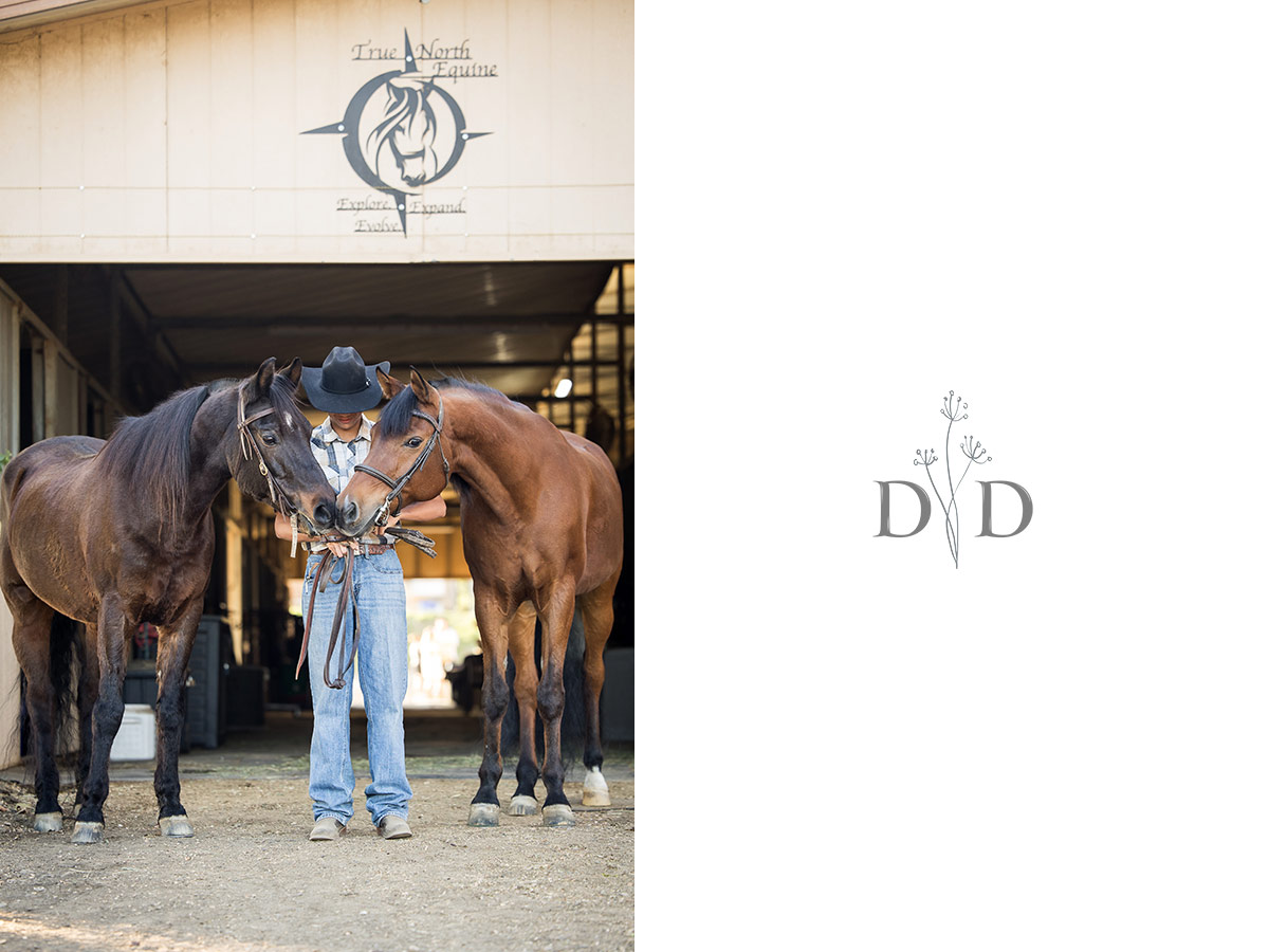 A trainer and his horses