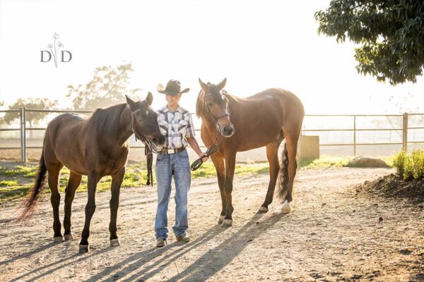 Read more about the article Equine Photography San Dimas | Horse Portraits