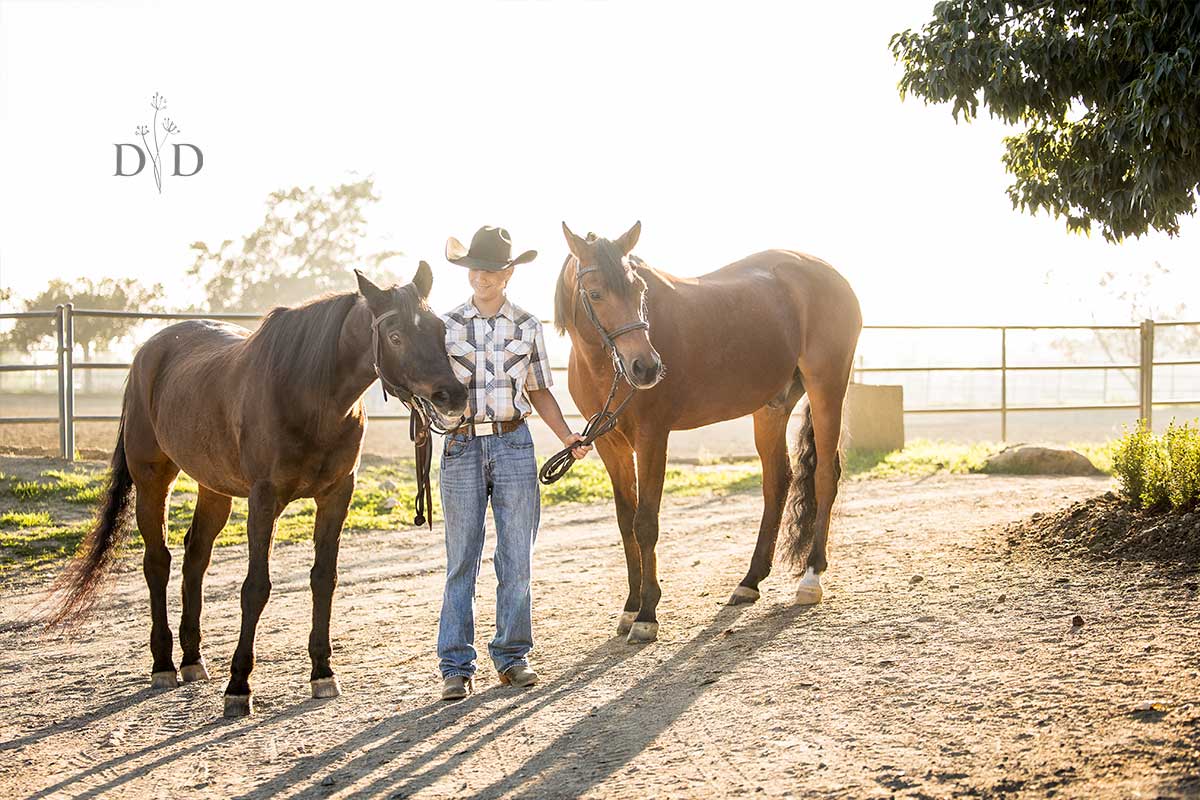 San Dimas Horse Photography