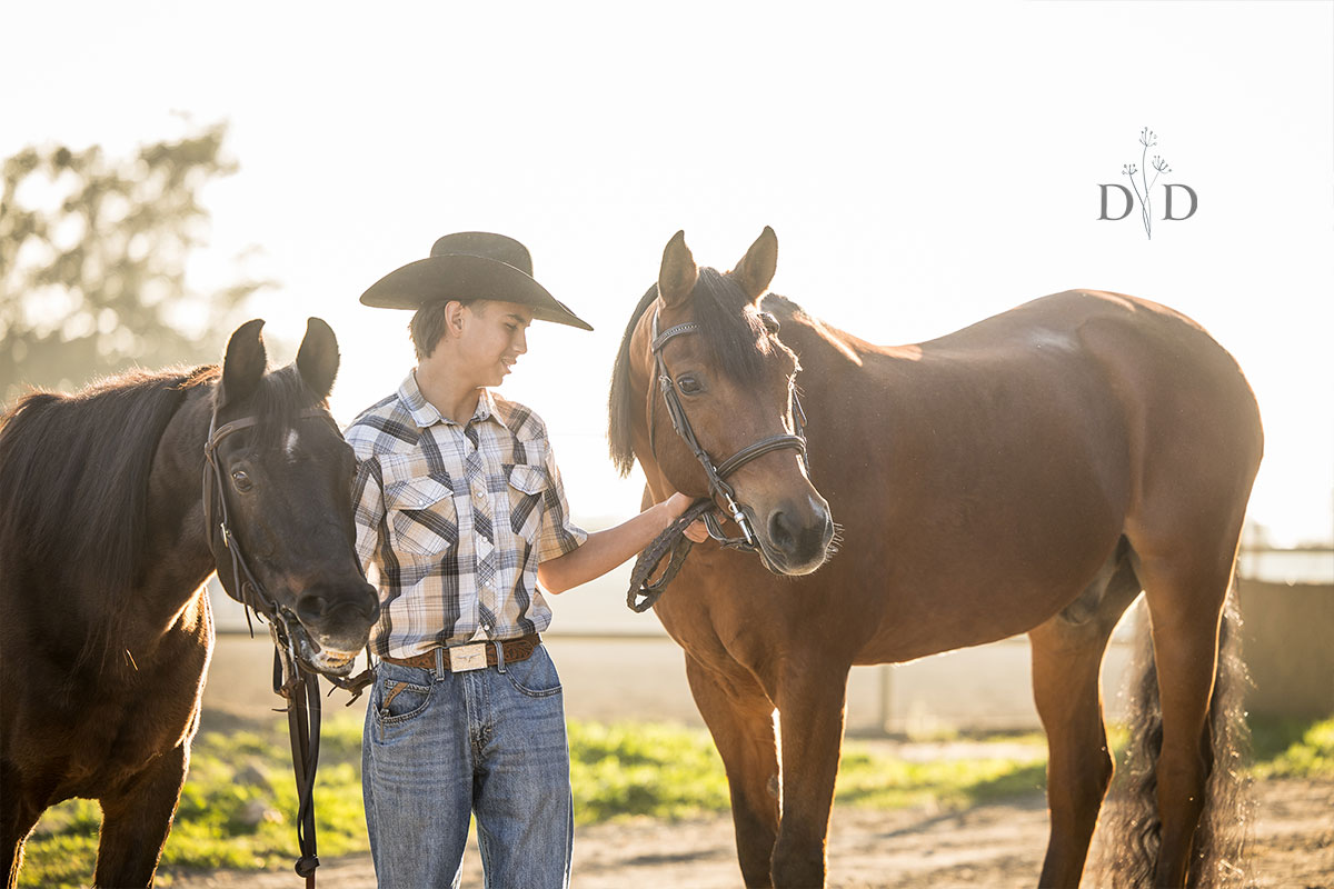 Equestrian Photography