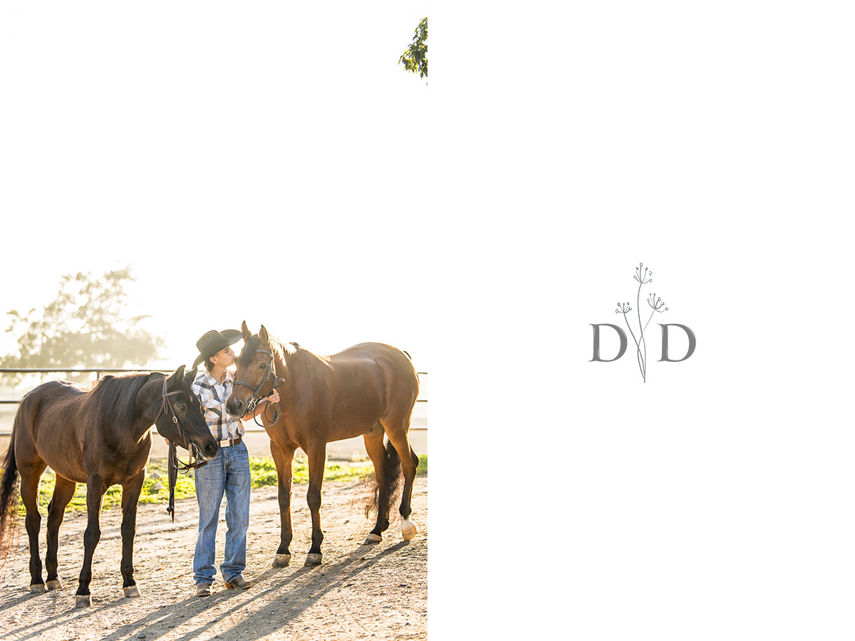 Horse Portraits 