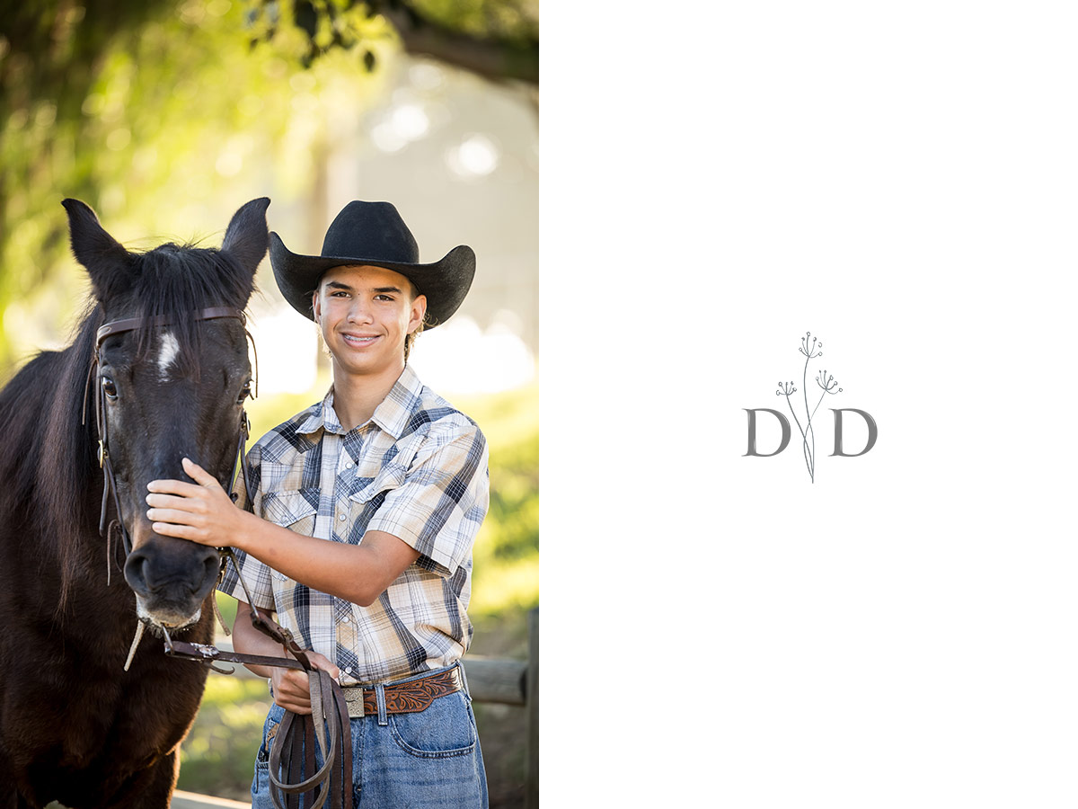 Horse Portrait San Dimas