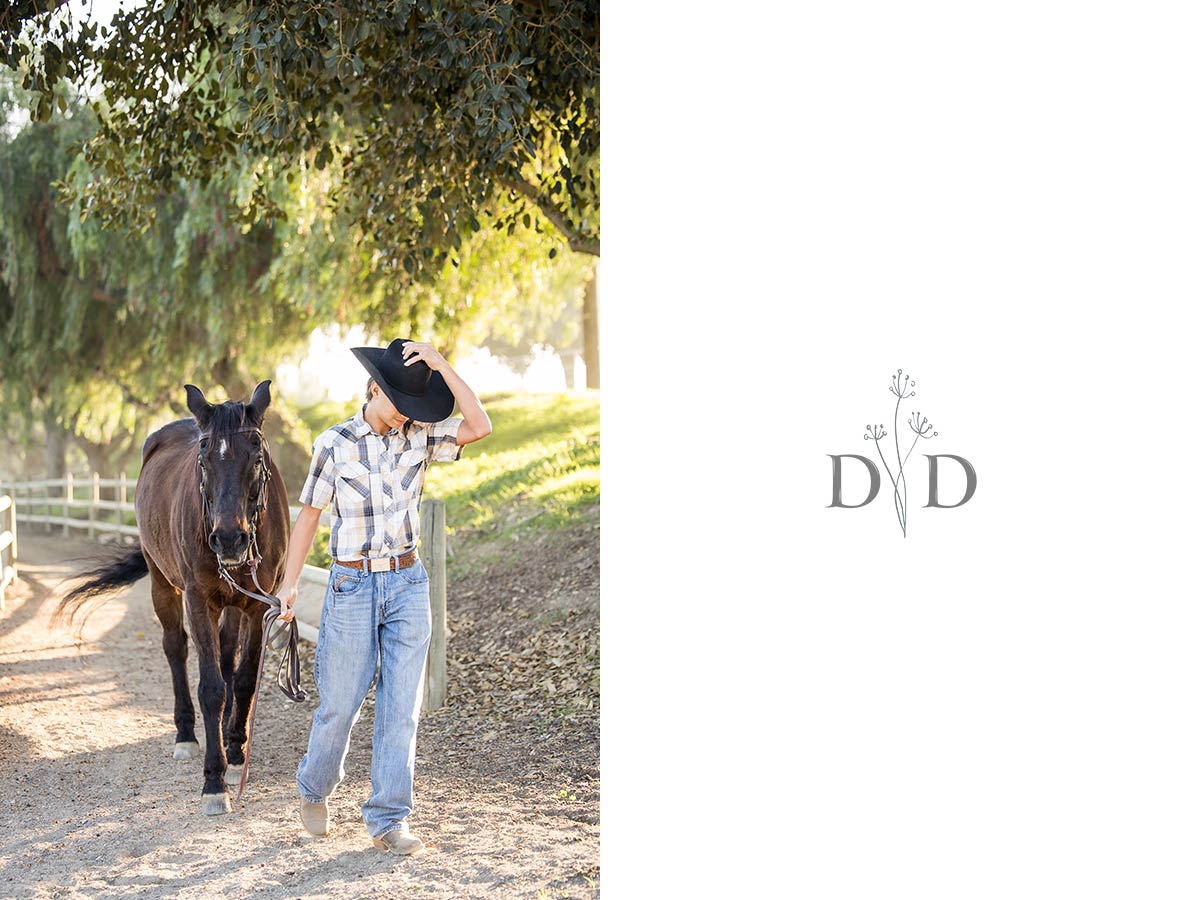 Horse and a cowboy hat
