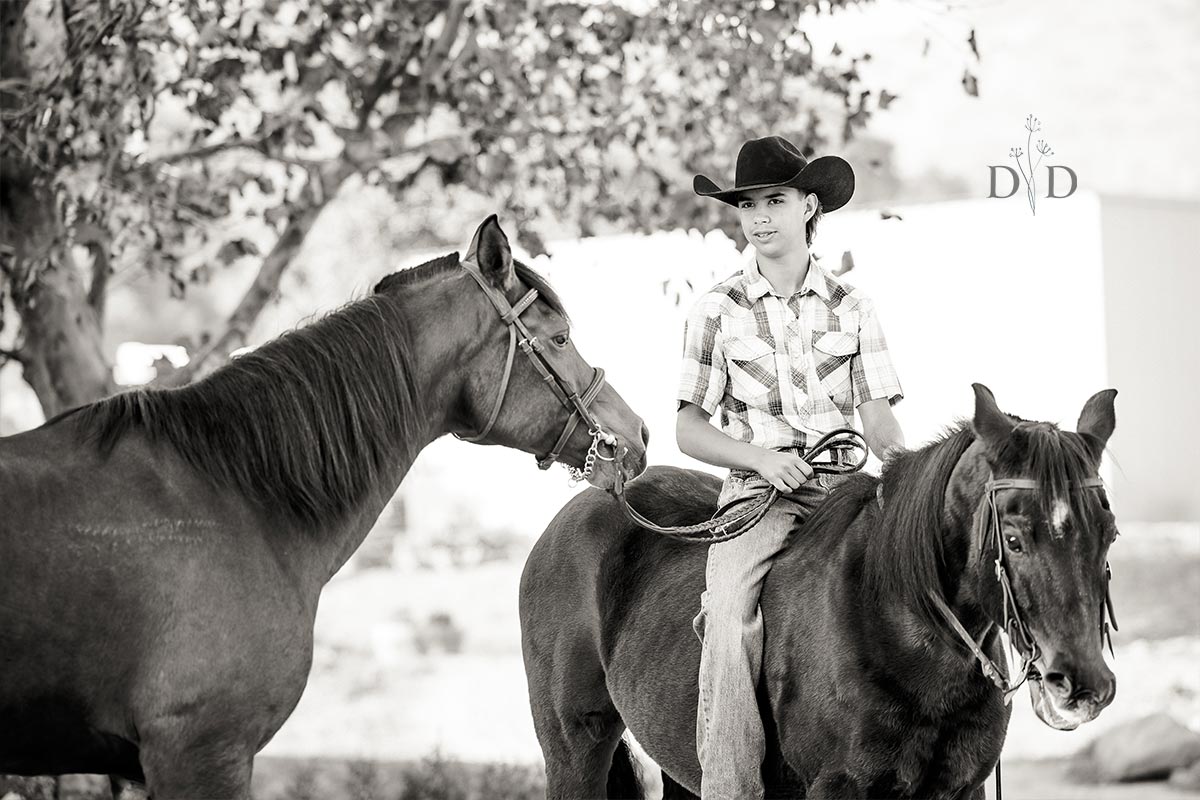 Black and White Equine Photo