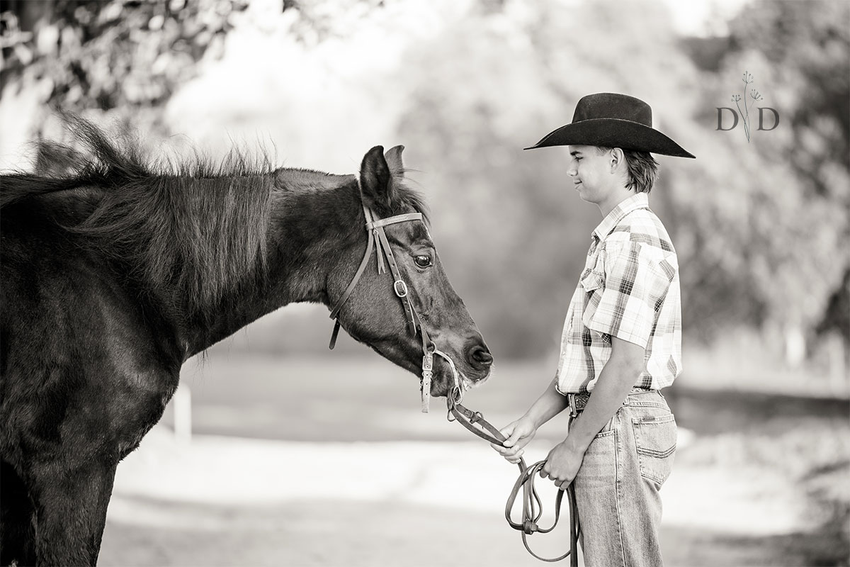Black and White Horse Photo